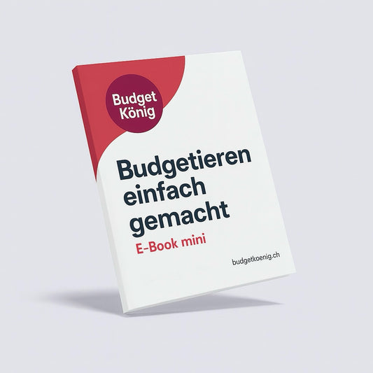 E-Book mini: Budgetieren einfach gemacht